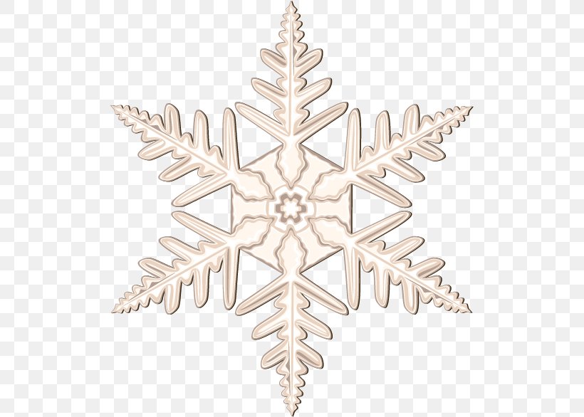 Snowflake Euclidean Vector, PNG, 510x586px, Snowflake, Christmas, Christmas Ornament, Gratis, Petal Download Free