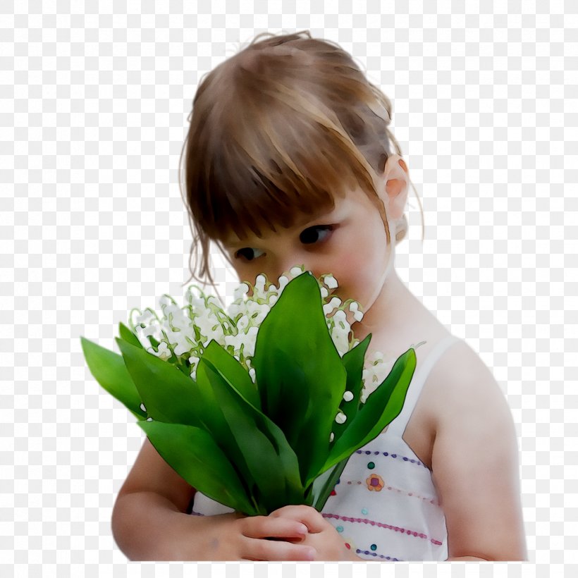 Flower Olfaction Facebook Leaf, PNG, 1735x1735px, Flower, Bouquet, Child, Cut Flowers, Facebook Download Free