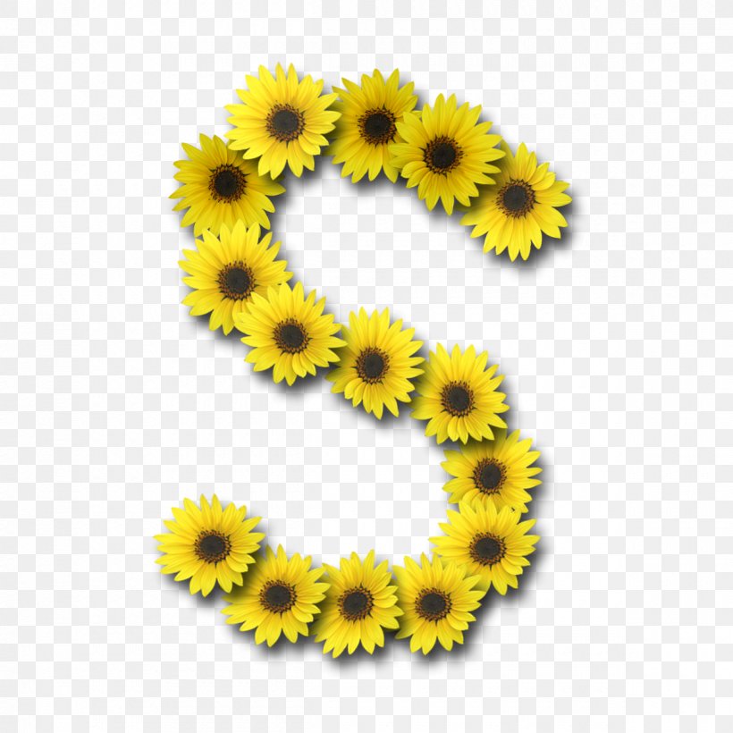 Letter Alphabet Common Sunflower, PNG, 1200x1200px, Letter, Alphabet, Chrysanths, Common Sunflower, Daisy Family Download Free