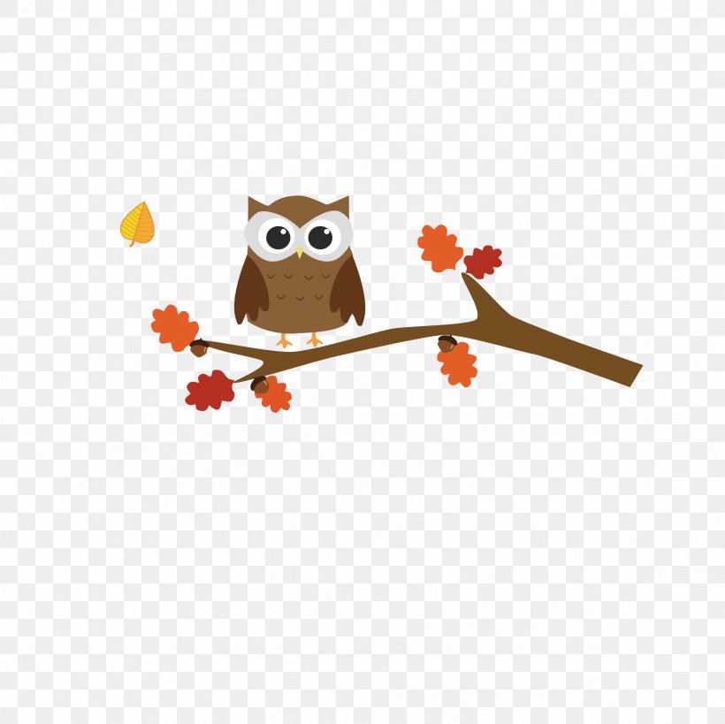 Owl Bird, PNG, 2362x2362px, Owl, Autumn, Barn Owl, Beak, Bird Download Free