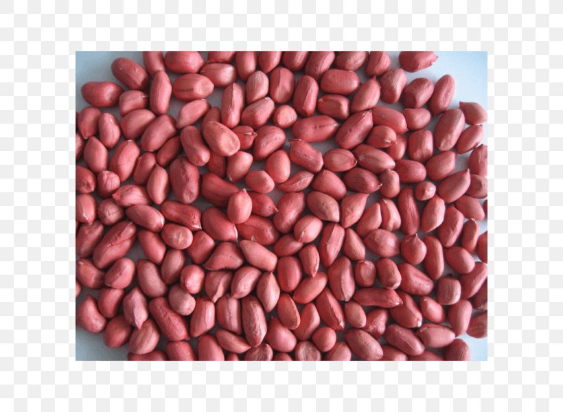 Vegetarian Cuisine Cranberry Bean Peanut, PNG, 600x600px, Vegetarian Cuisine, Adzuki Bean, Azuki Bean, Bean, Coconut Download Free