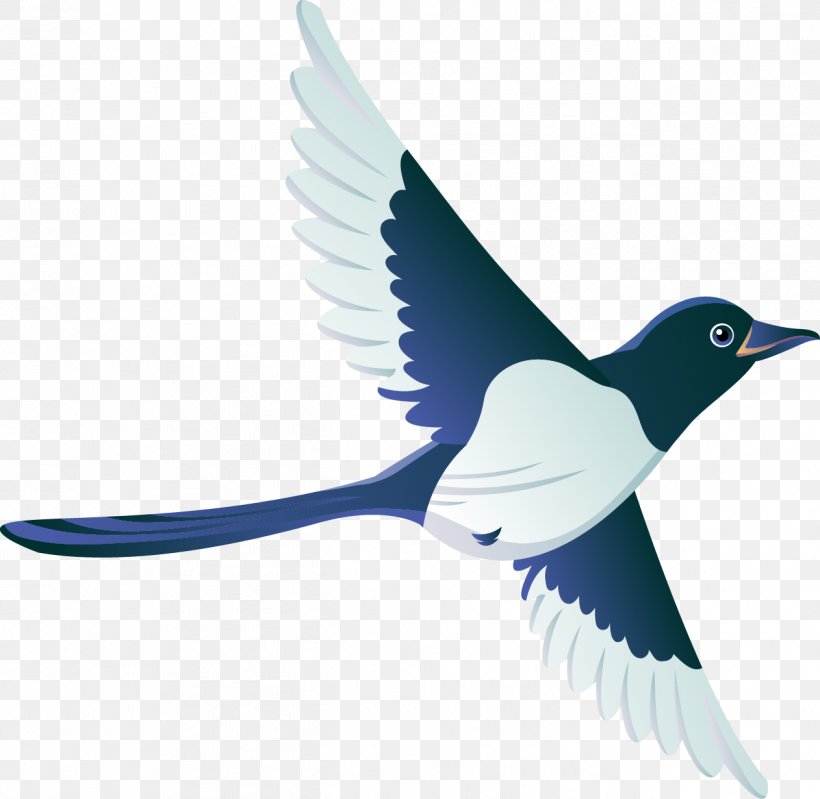 Bird Drawing Clip Art, PNG, 1262x1231px, Bird, Beak, Blue Jay, Convite, Drawing Download Free