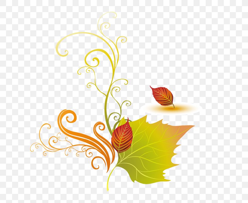 Leaf Clip Art, PNG, 622x670px, Leaf, Color, Flora, Floral Design, Floristry Download Free