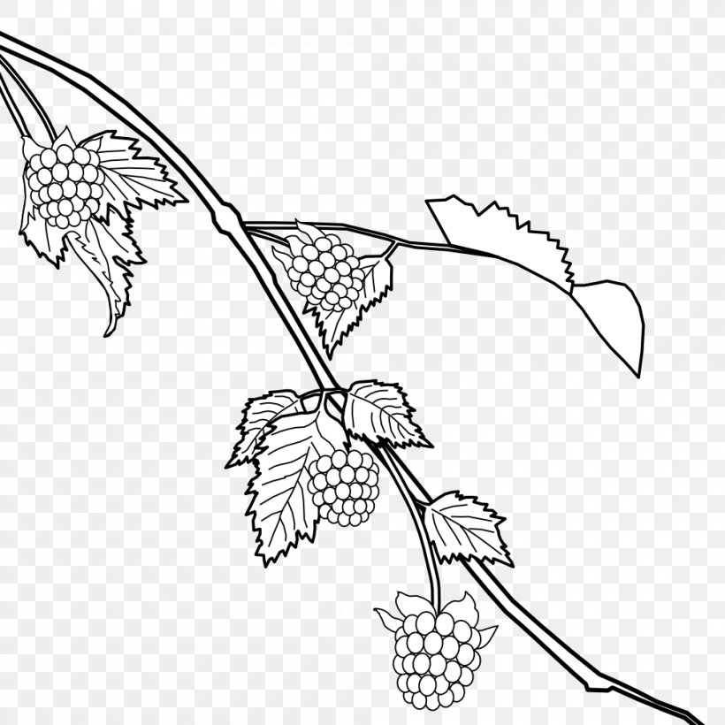 Flower Line Art, PNG, 1000x1000px, Line Art, Art, Blackandwhite, Botany, Branch Download Free