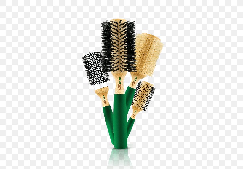 Hairbrush Børste Handle Wood, PNG, 500x570px, Brush, Crest, Echo, Flowerpot, Hair Download Free