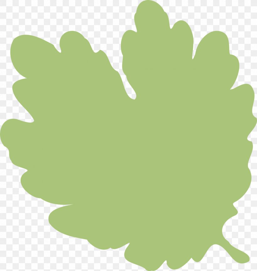 Leaf Shape Leaf Shape Clip Art, PNG, 1819x1920px, Leaf, Autumn Leaf Color, Geometry, Grass, Green Download Free