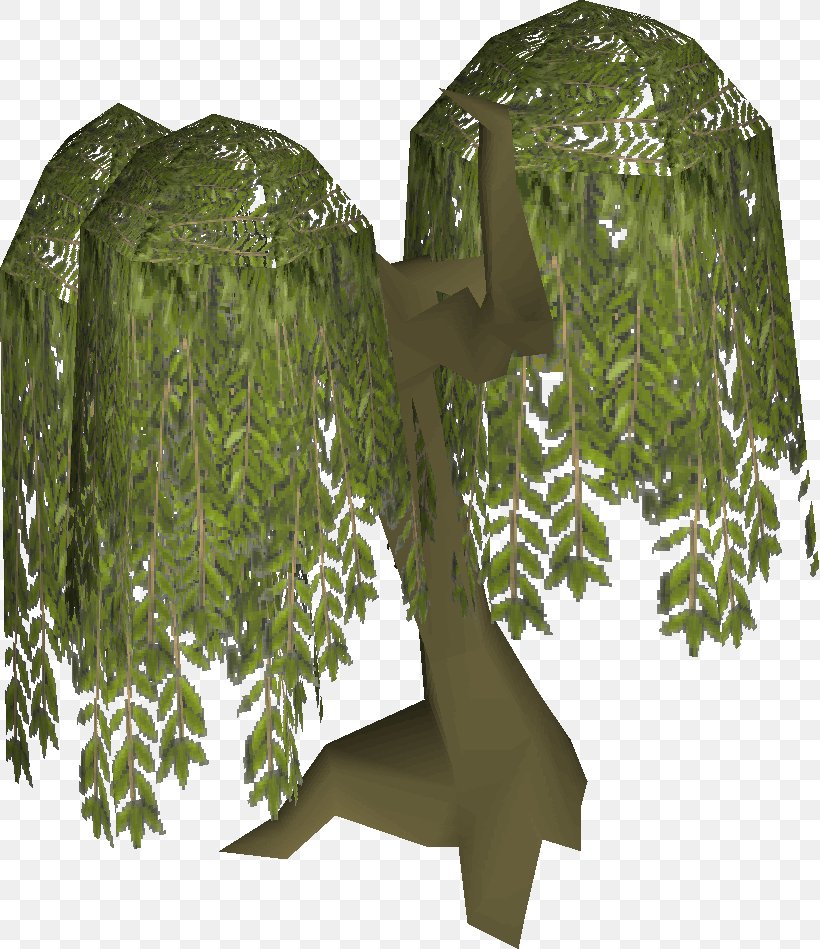 Old School RuneScape Salix Arctica Tree Plant, PNG, 819x949px, Runescape, English Yew, Fern, Fruit, Fruit Tree Download Free