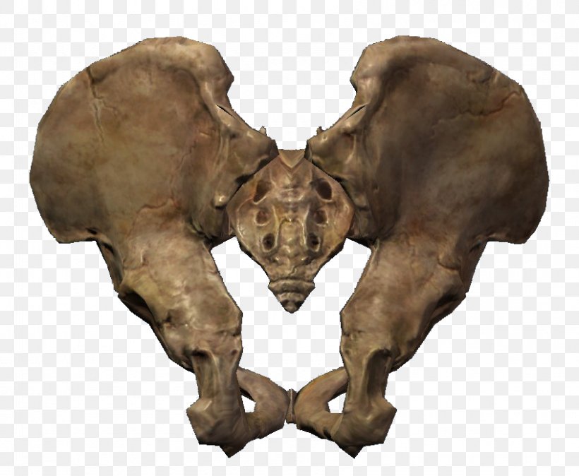 The Elder Scrolls V: Skyrim The Elder Scrolls Online Hip Bone Pelvis, PNG, 846x696px, Watercolor, Cartoon, Flower, Frame, Heart Download Free