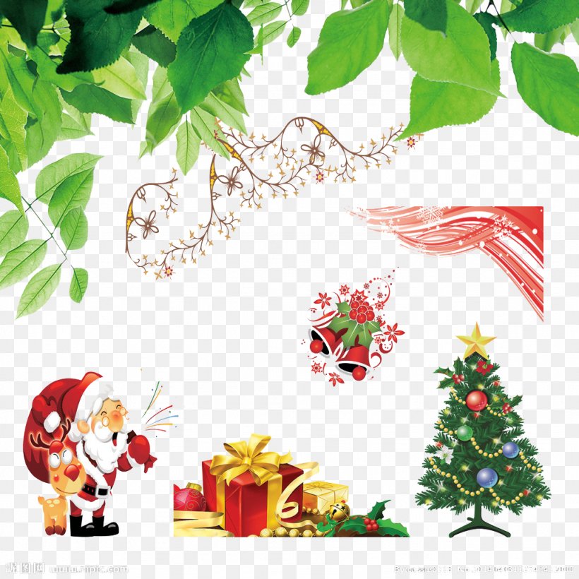 Christmas Tree Christmas Ornament Christmas Gift Leaf, PNG, 1024x1024px, Christmas Tree, Aquifoliaceae, Birthday, Branch, Christmas Download Free