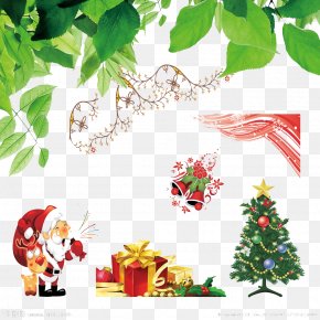 Download Christmas Fruit Leaf Material Png 2743x1851px Christmas Aquifoliaceae Aquifoliales Branch Christmas Decoration Download Free SVG Cut Files