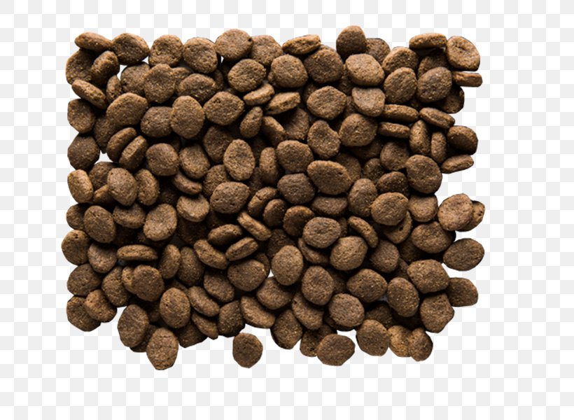 Jamaican Blue Mountain Coffee Cubeb Allspice Commodity Seed, PNG, 800x600px, Jamaican Blue Mountain Coffee, Allspice, Bean, Coffee, Commodity Download Free