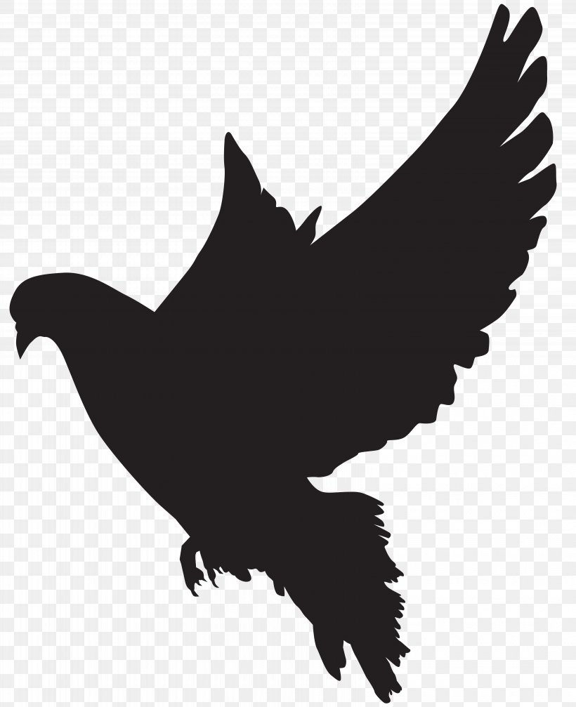 Columbidae Silhouette Dove Clip Art, PNG, 6510x8000px, Columbidae, Art, Beak, Bird, Bird Of Prey Download Free