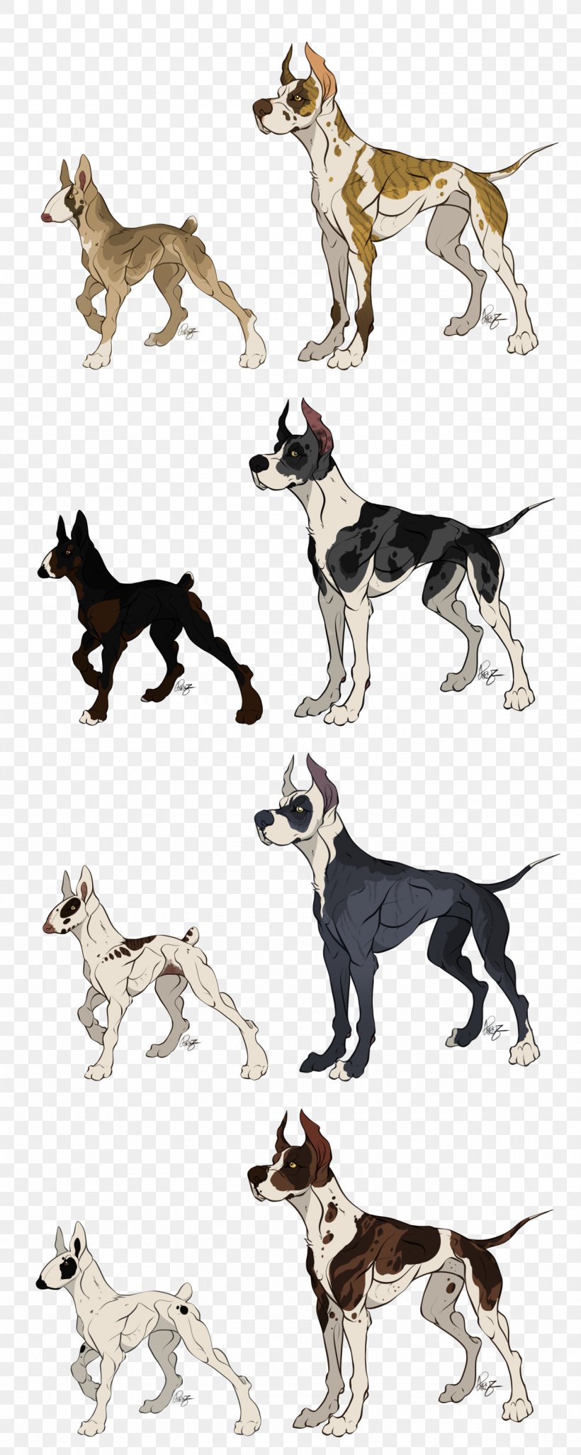 Dog Breed Whippet Crossbreed 08626, PNG, 1280x3202px, Dog Breed, Breed, Carnivoran, Crossbreed, Dog Download Free