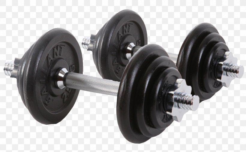 Exercise Equipment Dumbbell Bench Barbell Weight Training, PNG, 989x611px, Exercise Equipment, Auto Part, Automotive Tire, Barbell, Bench Download Free