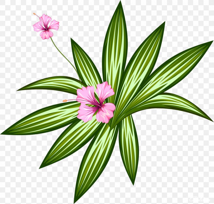 Flower Clip Art, PNG, 1000x957px, Flower, Digital Image, Flora, Flowering Plant, Information Download Free