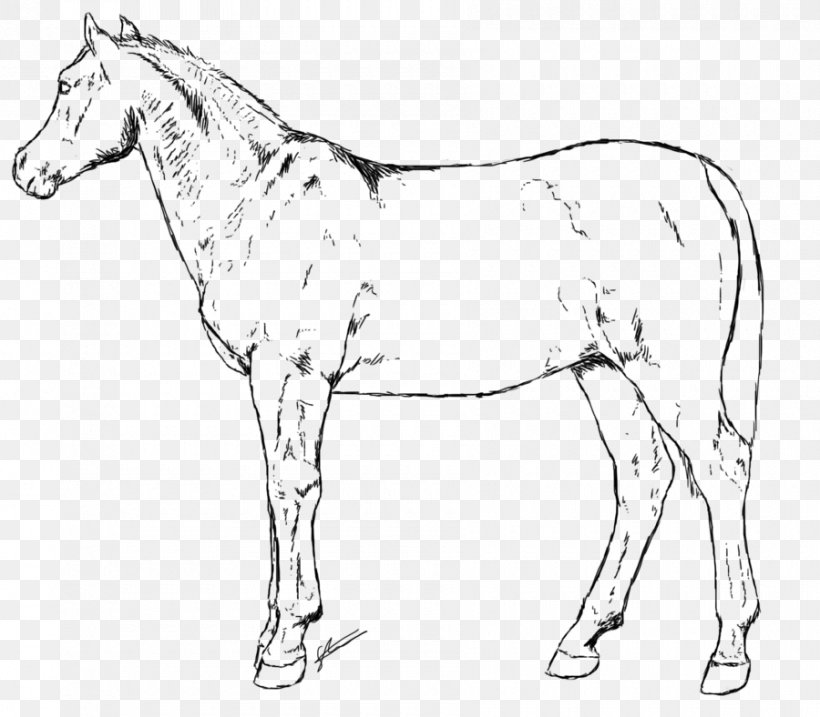 Mule Foal Bridle Colt Mare, PNG, 900x788px, Mule, Animal, Animal Figure, Artwork, Black And White Download Free