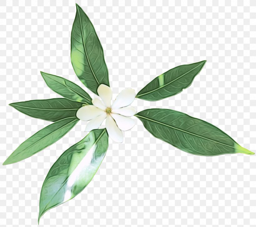 Watercolor Wreath Flower, PNG, 1000x887px, Watercolor, Bay Laurel, Bay Leaf, Chinese Magnolia, Daphne Download Free