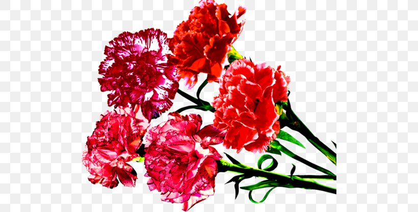 Defender Of The Fatherland Day Russia Holiday Daytime, PNG, 500x416px, Defender Of The Fatherland Day, Ansichtkaart, Carnation, Cut Flowers, Days Of Military Honour Download Free