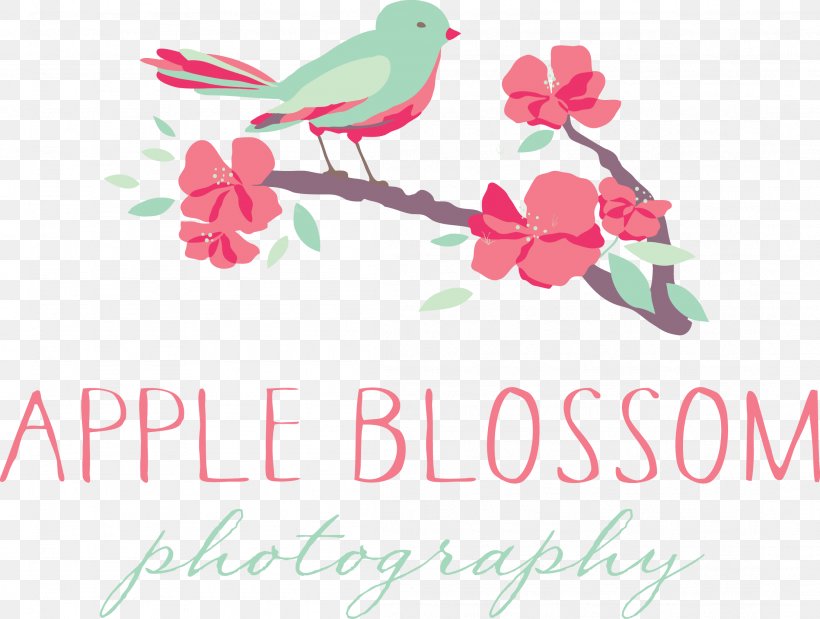 Floral Design Greeting & Note Cards Pink M Font, PNG, 2203x1665px, Floral Design, Bird, Branch, Branching, Flora Download Free