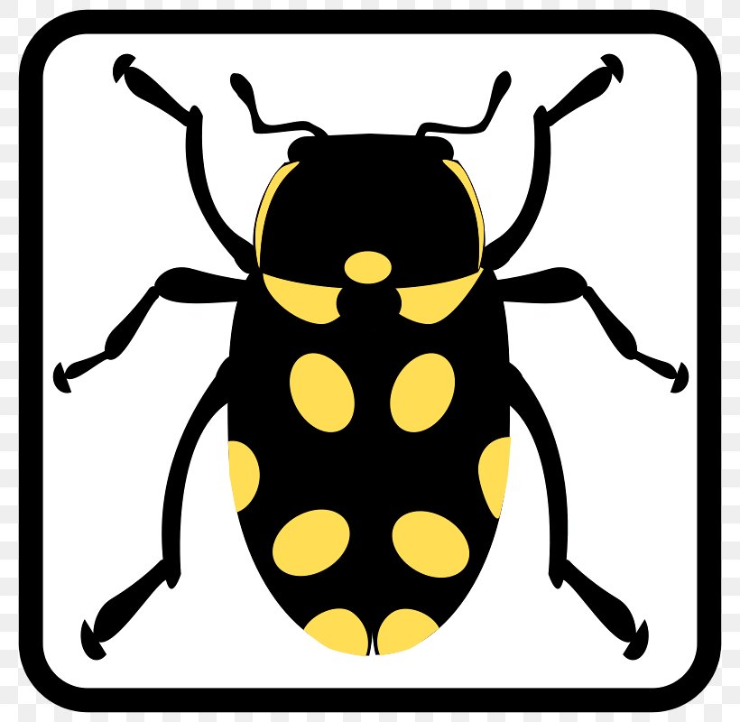 Ladybird Beetle Clip Art Shower Curtains Vector Graphics, PNG, 800x800px, Beetle, Arthropod, Artwork, Curtain, Douchegordijn Download Free