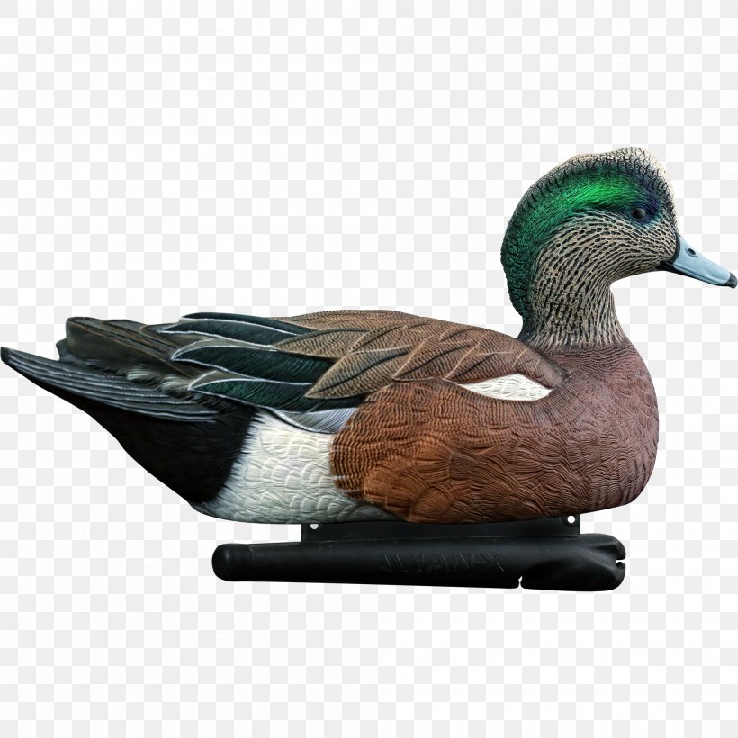 Duck Decoy Mallard American Wigeon Duck Decoy, PNG, 2000x2000px, Duck, American Wigeon, Beak, Bird, Central Flyway Download Free