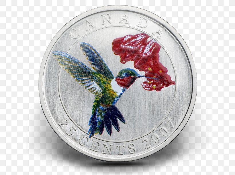 Hummingbird Quarter Coin Royal Canadian Mint, PNG, 640x612px, Bird, American Robin, Beak, Canadian Dollar, Cent Download Free