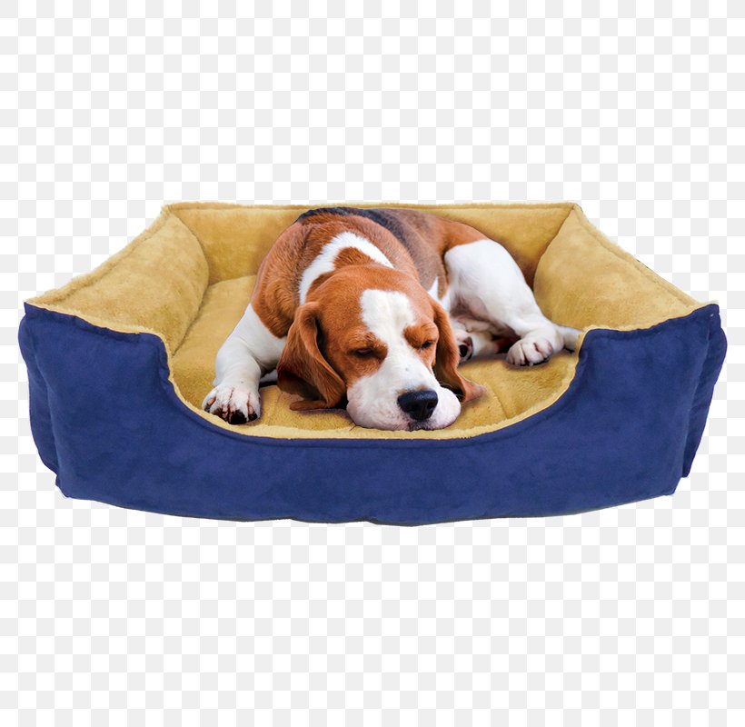 Dog Breed Puppy Dog Collar Pillow, PNG, 800x800px, Dog Breed, Bed, Breed, Collar, Dog Download Free
