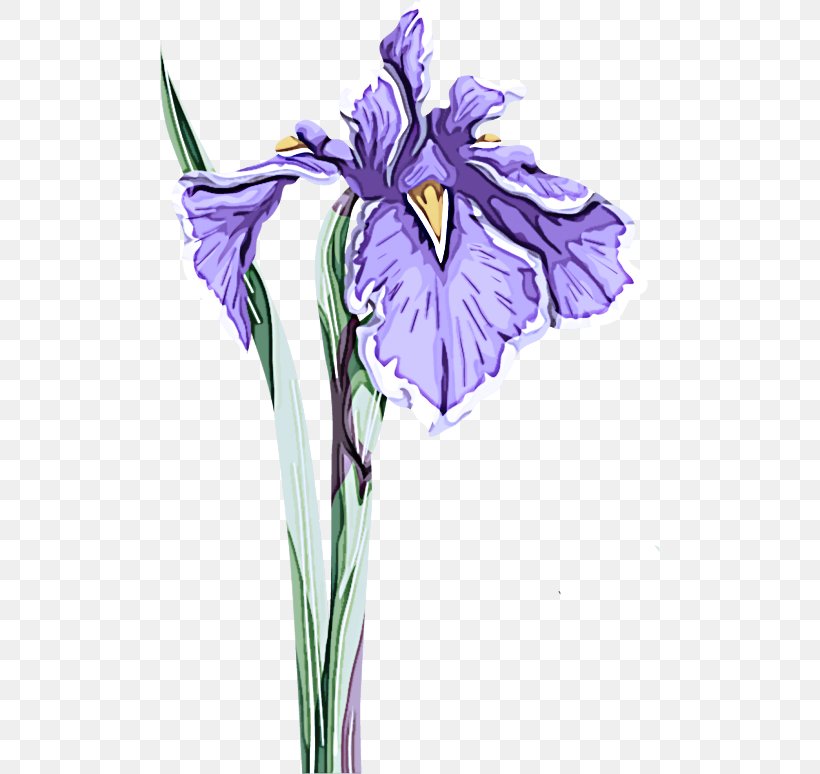Flower Flowering Plant Plant Purple Iris, PNG, 500x774px, Flower, Cut Flowers, Flowering Plant, Iris, Iris Family Download Free