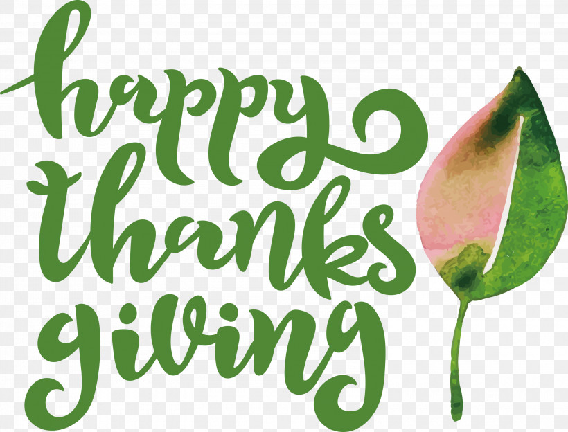 Happy Thanksgiving, PNG, 3000x2286px, Happy Thanksgiving, Biology, Fruit, Leaf, Logo Download Free