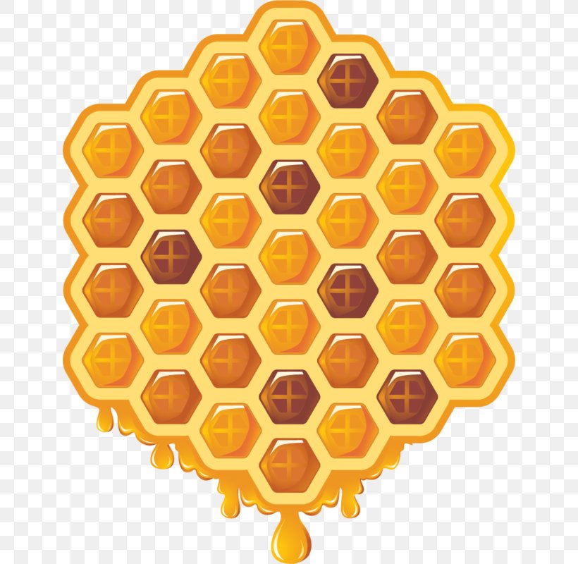 Hexagon Background, PNG, 642x800px, Bee, Beehive, Bumblebee, Hexagon, Honey Download Free