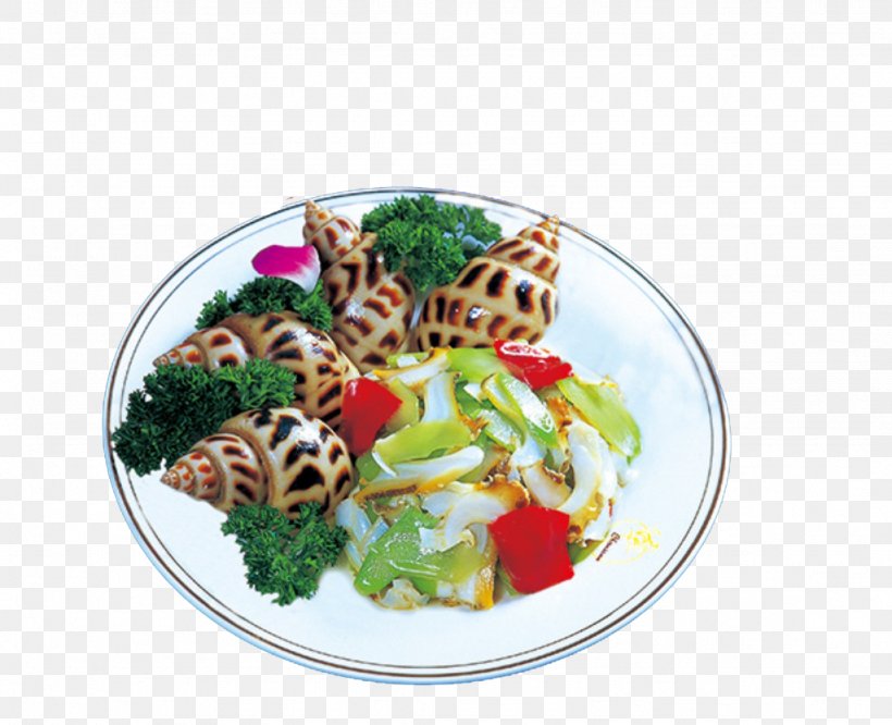 Sea Snail Japanese Cuisine Download, PNG, 1024x832px, Sea Snail, Asian Food, Bolinus Brandaris, Cuisine, Dish Download Free