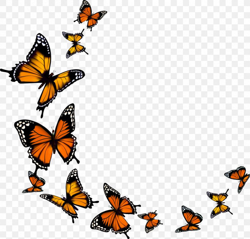 Monarch Butterfly, PNG, 1200x1149px, Butterfly, Arthropod, Artwork, Brush Footed Butterfly, Butterflies And Moths Download Free