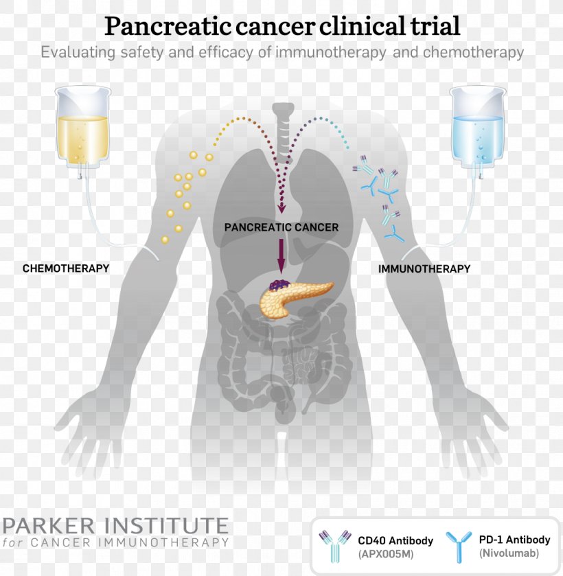 Pancreatic Cancer Cancer Immunotherapy Cancer Research Institute, PNG, 1137x1164px, Watercolor, Cartoon, Flower, Frame, Heart Download Free