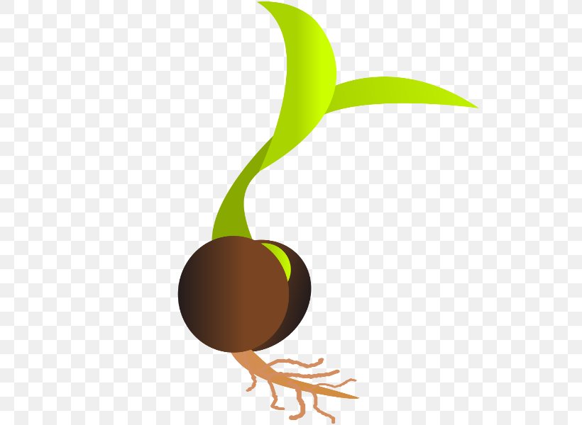 Sprouting Seed Germination Clip Art, PNG, 600x600px, Sprouting, Bean, Food, Germination, Leaf Download Free