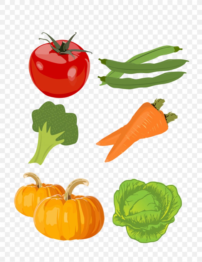 Vegetable Food Group Health Broccoli, PNG, 881x1140px, Vegetable, Bell Peppers And Chili Peppers, Broccoli, Calabaza, Cauliflower Download Free