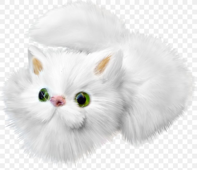Cat Kitten White Drawing, PNG, 1871x1616px, Cat, Black Cat, Carnivoran, Cartoon, Cat Like Mammal Download Free