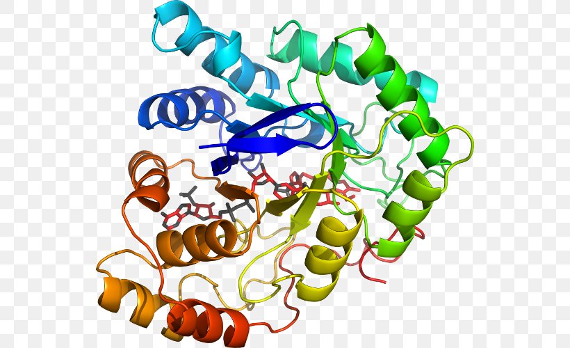 Custom Peptide Synthesis Amino Acid Biology Protein, PNG, 544x500px, Peptide, Acid, Amine, Amino Acid, Area Download Free