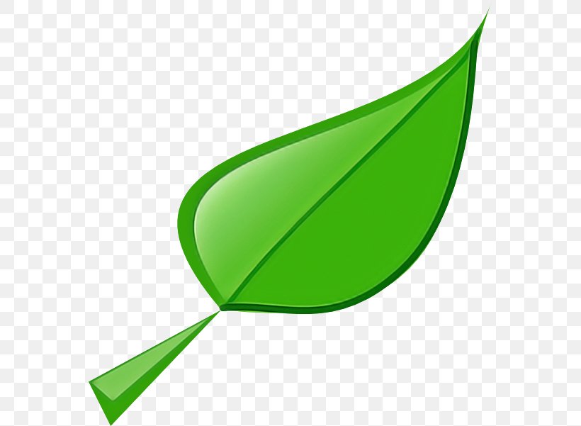 Leaf Green Clip Art Plant Line, PNG, 570x601px, Leaf, Green, Logo, Plant Download Free
