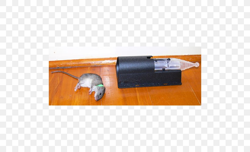 Mousetrap Rat Trap Trapping, PNG, 500x500px, Mouse, Animal Trap, Bait, Bucket, Mousetrap Download Free