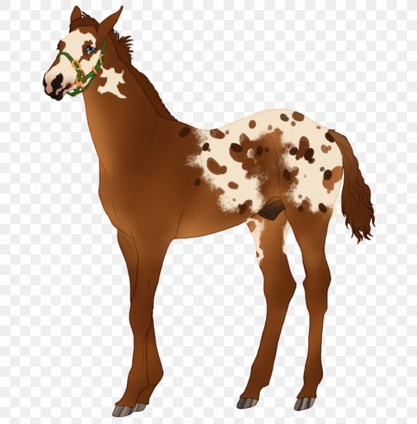 Mustang Appaloosa Foal Pony Overo, PNG, 886x901px, Mustang, Animal, Animal Figure, Appaloosa, Chestnut Download Free