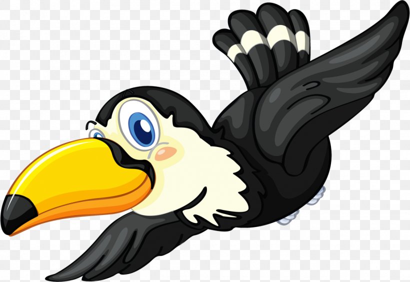 Bird Parrot Vector Graphics Toucan Illustration, PNG, 1131x779px, Bird, Beak, Bird Of Prey, Cartoon, Drawing Download Free