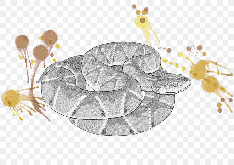 Bothrops Atrox Pygmy Rattlesnake Venomous Snake Bothrops Jararaca, PNG, 900x637px, Snake, Bothrops, Bothrops Jararaca, Captopril, Golden Lancehead Download Free