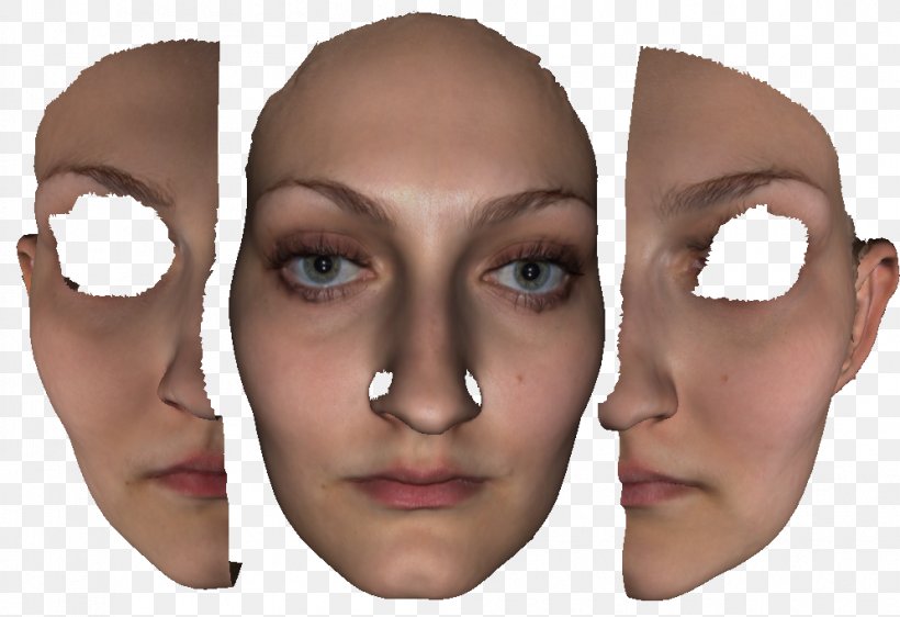 Face Eyebrow Cheek Chin Nose, PNG, 995x683px, Face, Biometrics, Cheek, Chin, Database Download Free