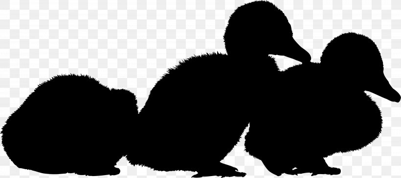 Penguin Clip Art Silhouette Beak Landfowl, PNG, 3444x1537px, Penguin, Beak, Bird, Black M, Duck Download Free