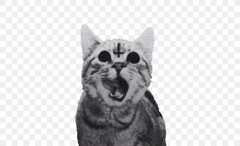 Cat Kitten Lucifer Cross Of Saint Peter Satanism, PNG, 500x500px, Cat, American Shorthair, Black And White, Carnivoran, Cat Like Mammal Download Free