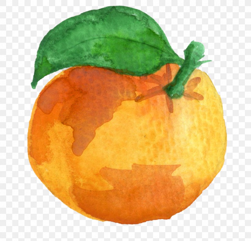 Clementine Mandarin Orange Tangerine Pumpkin, PNG, 1150x1107px, Clementine, Bitter Orange, Blood Orange, Calabaza, Cara Cara Navel Download Free