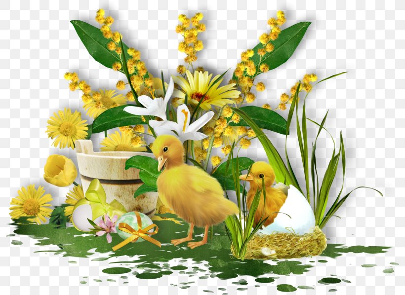 Easter Bunny Easter Egg Flower Floral Design, PNG, 798x598px, Watercolor, Cartoon, Flower, Frame, Heart Download Free