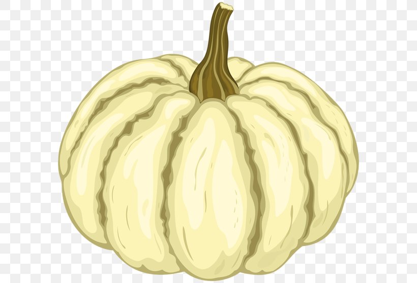 Gourd Clip Art Pumpkin Image, PNG, 600x558px, Gourd, Calabaza, Cucumber Gourd And Melon Family, Cucurbita, Field Pumpkin Download Free