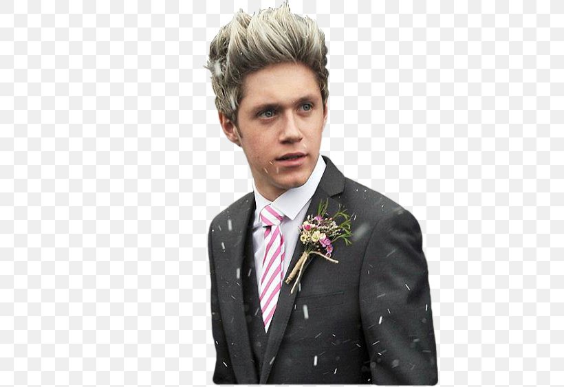 Niall Horan One Direction Song, PNG, 609x563px, Watercolor, Cartoon, Flower, Frame, Heart Download Free