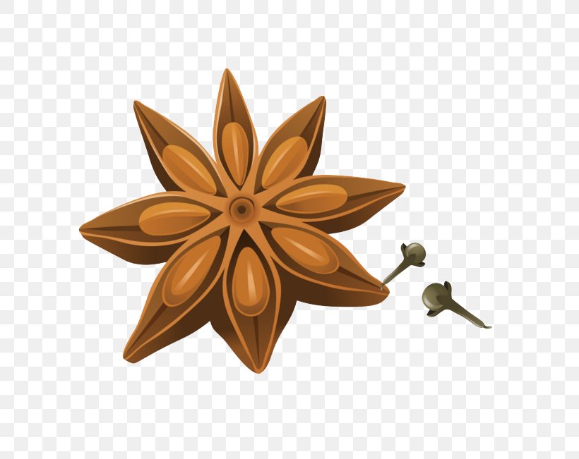 Star Anise Spice Illustration Image, PNG, 650x651px, Star Anise, Anise, Bronze, Cinnamon, Herb Download Free